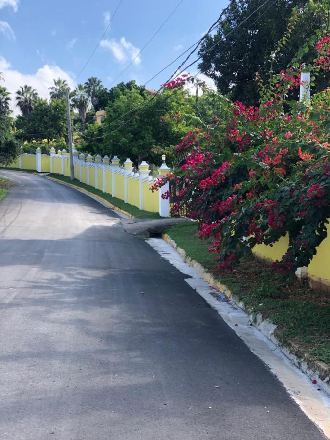 Pura Vida Jamaica Hotel Falmouth Exterior photo